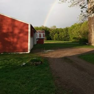 Meet your Posher, Krista